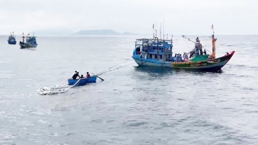 Một tàu cá của ngư dân Quảng Ngãi mắc cạn vùng biển Lý Sơn